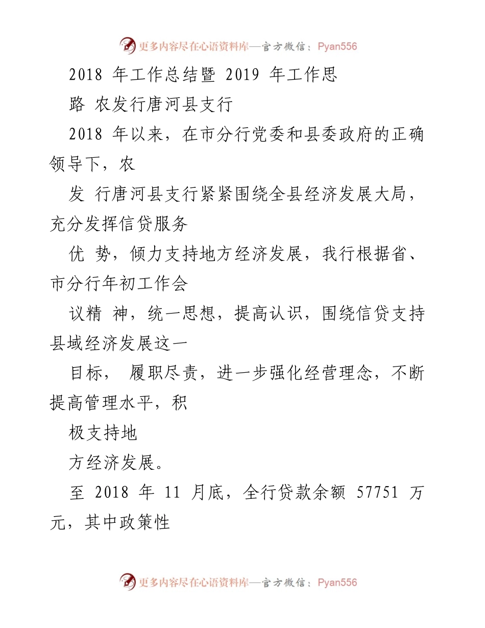 [工作总结] 农发行唐河县支行 - 2018年工作总结与2019年发展思路.docx_第1页
