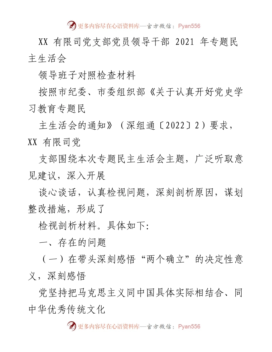 [工作总结] 党支部专题民主生活会 - XX有限司党支部党员领导干部2021年专题民主生活会对照检查材料总结.docx_第1页