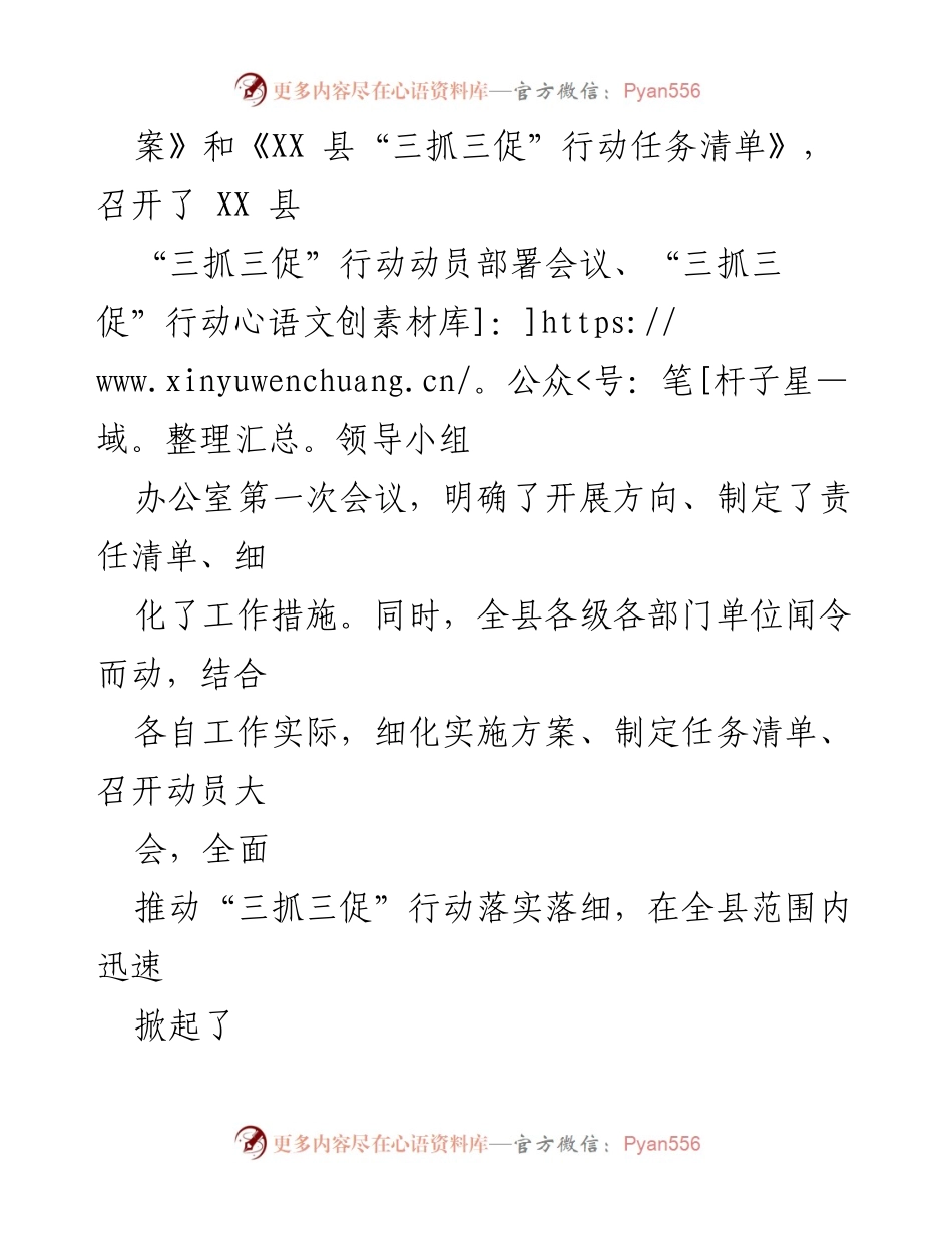 [工作总结] 动员部署会议 - XX县“三抓三促”行动落实工作总结.docx_第2页
