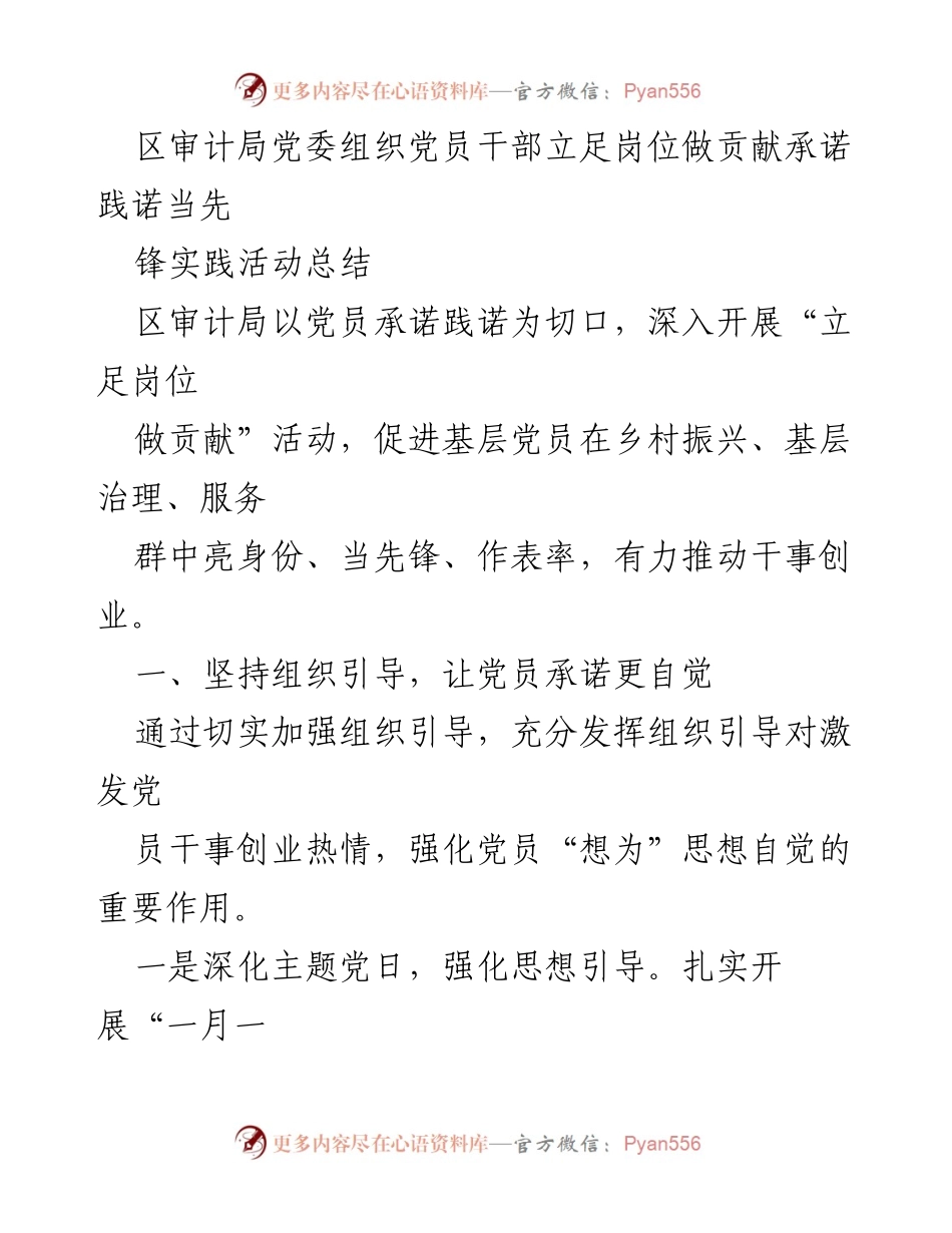 [工作总结] 区审计局 - 党员承诺践诺活动实践总结.docx_第1页