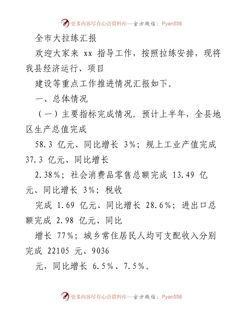 [工作总结] 全市大拉练汇报 - 全县经济运行与项目建设推进情况总结报告.docx_第1页