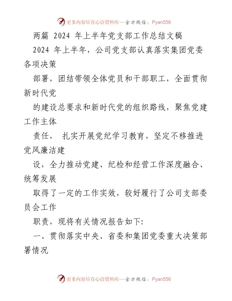 [工作总结] 党支部工作 - 2024年上半年党支部工作总结与成效报告.docx_第1页