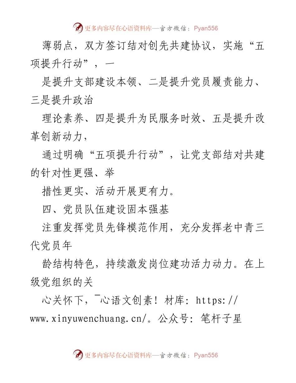 [工作总结] 党支部活动 - 强化党员先锋模范作用与结对共建推动党支部发展.docx_第2页
