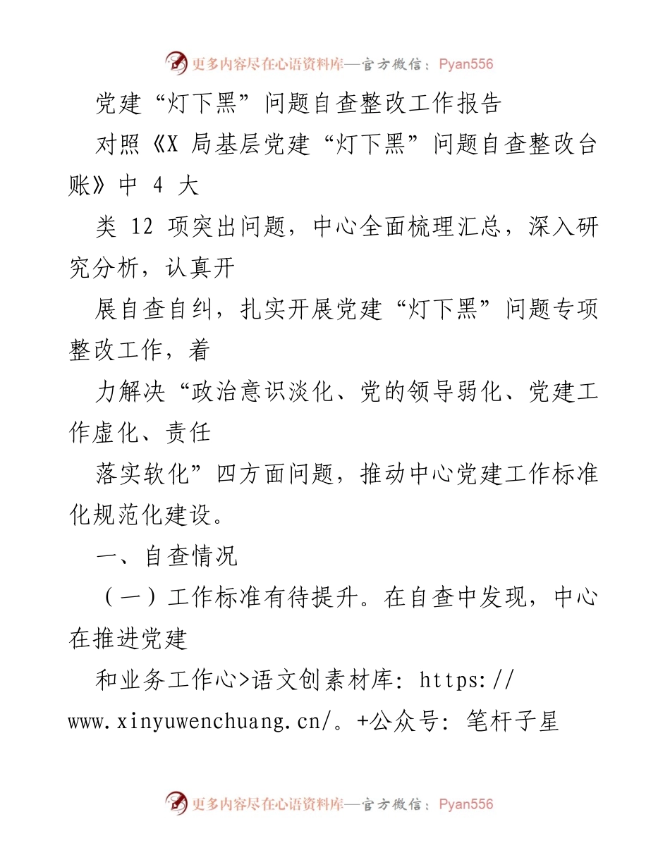 [工作总结] 党建自查整改 - 党建“灯下黑”问题自查整改工作总结报告_1.docx_第1页