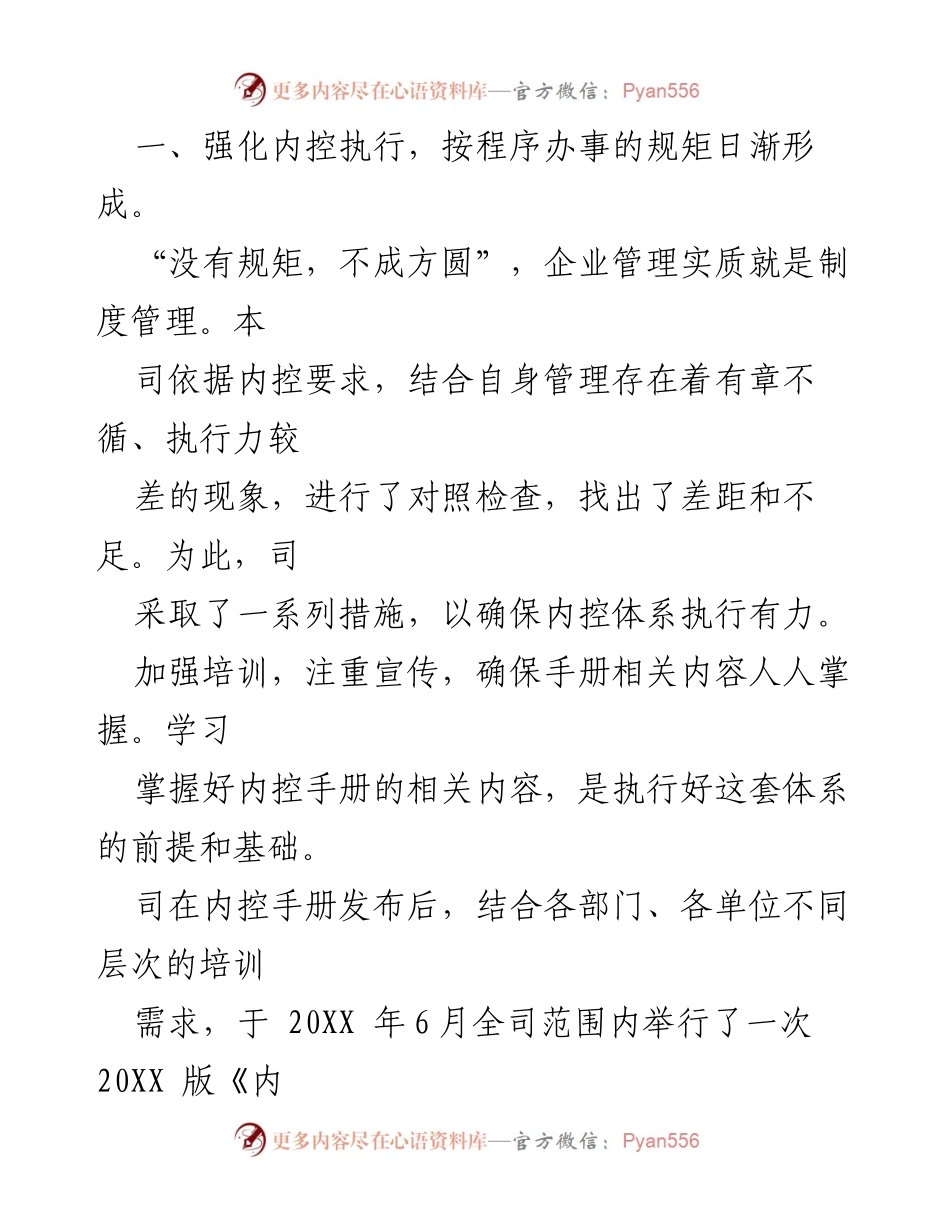 [工作总结] 内部控制 - 内部控制体系执行与管理水平提升总结.docx_第2页