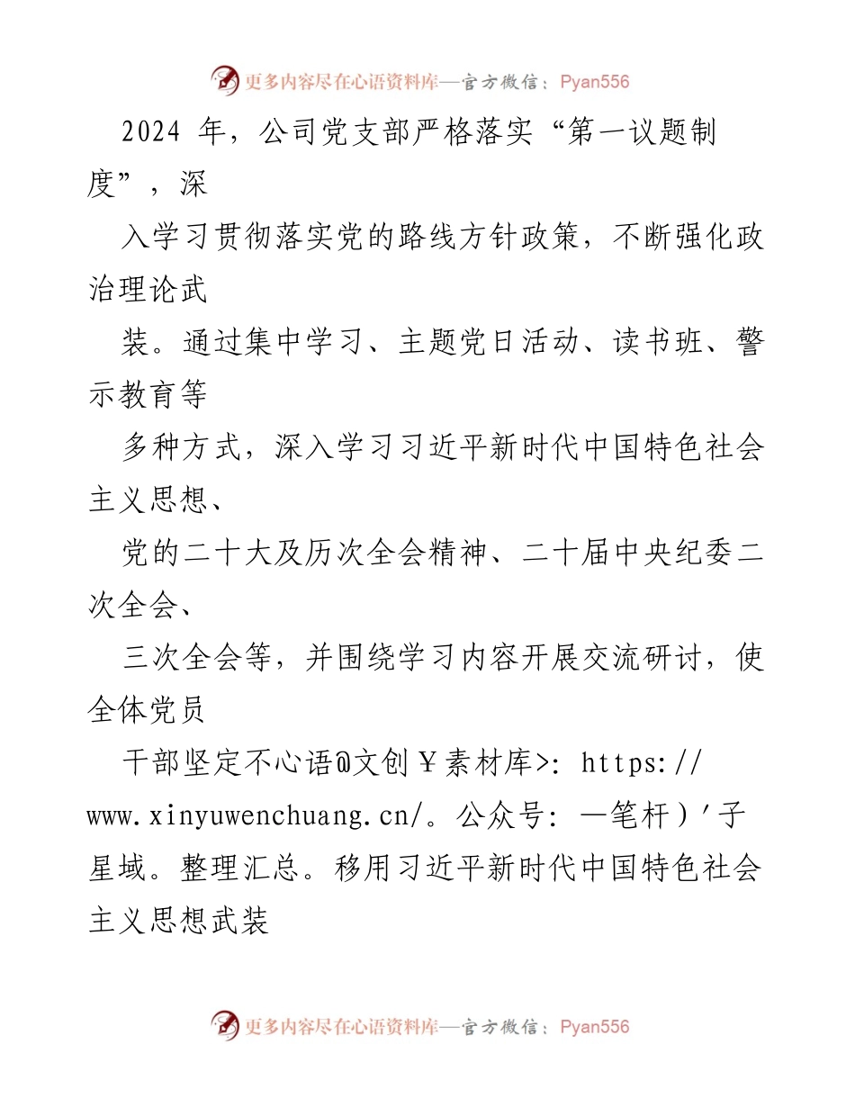 [工作总结] 公司党支部 - 2024年度全面从严治党主体责任履行情况报告.docx_第2页