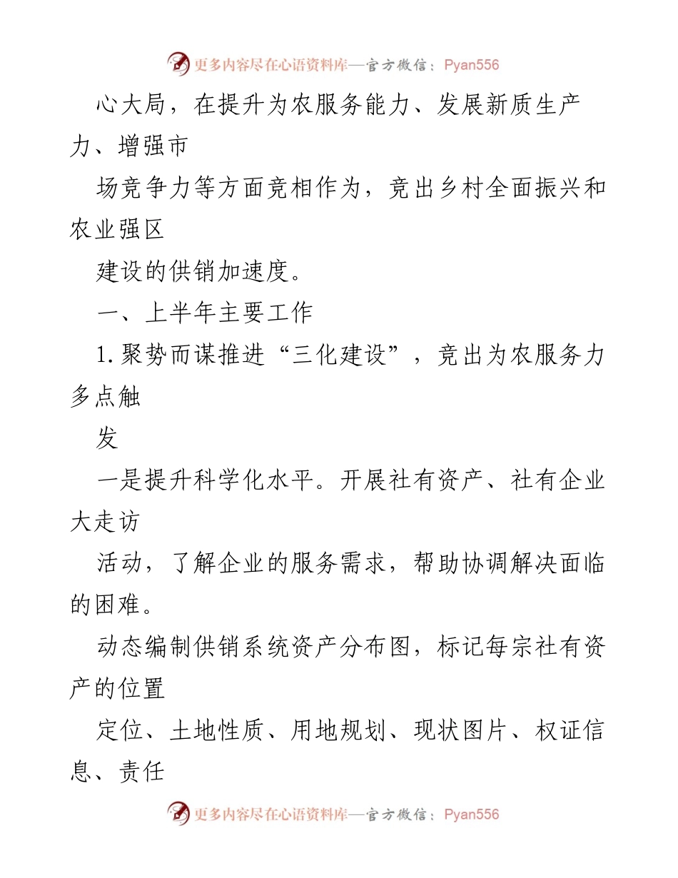 [工作总结] 区供销合作总社 - 2024年度上半年工作总结与下半年计划.docx_第2页