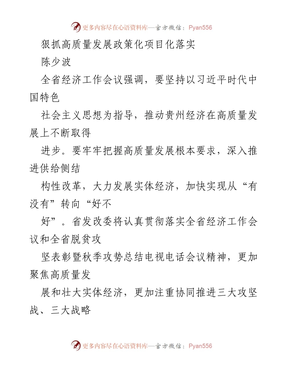 [工作总结] 全省经济工作会议 - 狠抓高质量发展政策落实与实践.docx_第1页