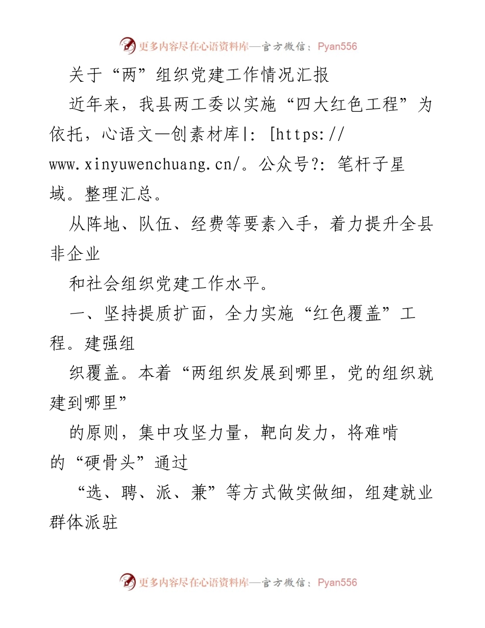[工作总结] 党建工作汇报 - 提升非企业和社会组织党建工作水平的实践与成效.docx_第1页