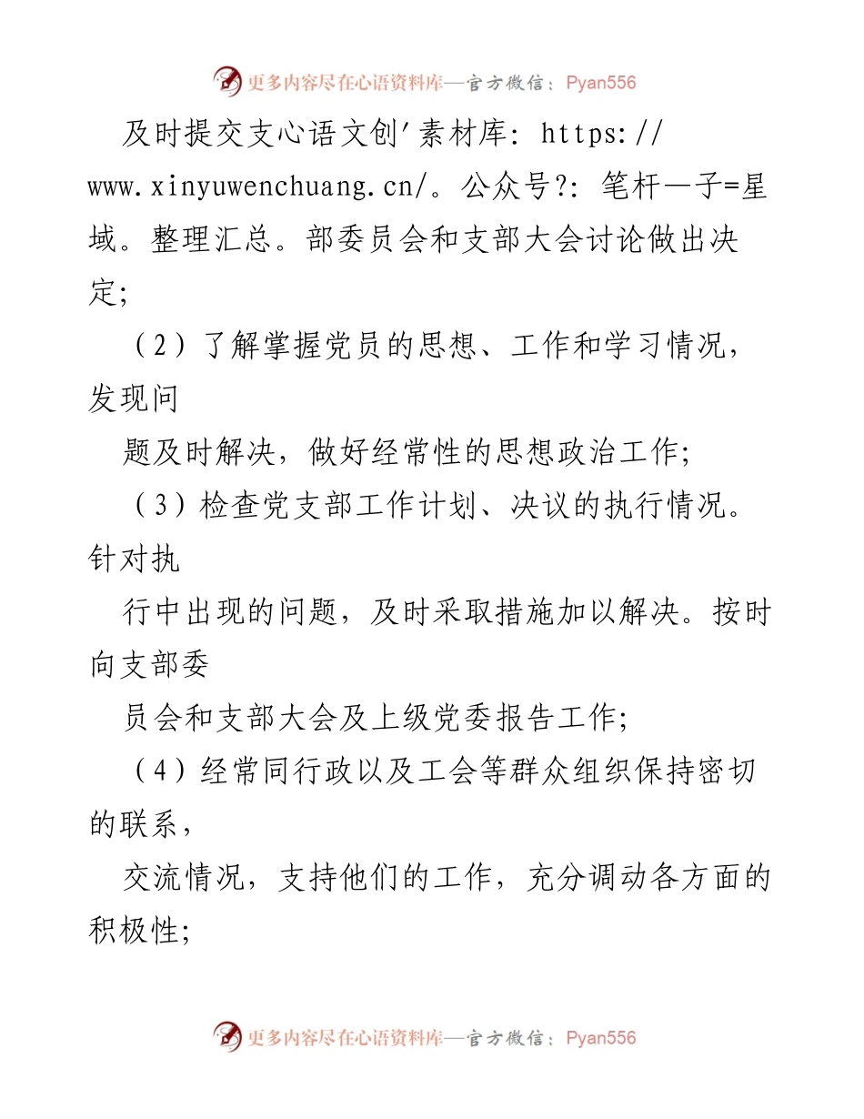 [工作总结] 党支部工作 - 党支部班子成员职责分工概述.docx_第2页