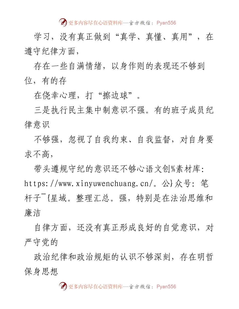 [工作总结] 党风廉政建设 - 2024年以身作则与廉洁自律问题分析.docx_第2页