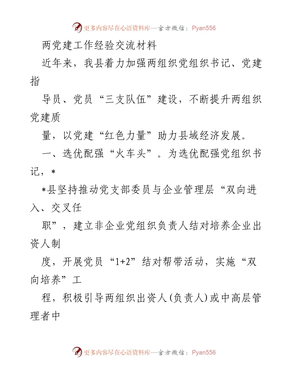 [工作总结] 党建工作经验交流 - 提升两组织党建质量助力县域经济发展.docx_第1页