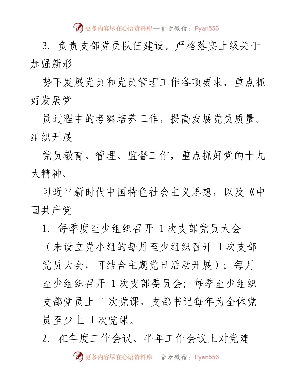 [工作总结] 党支部 - 党支部全面从严治党责任与工作要求.docx_第2页