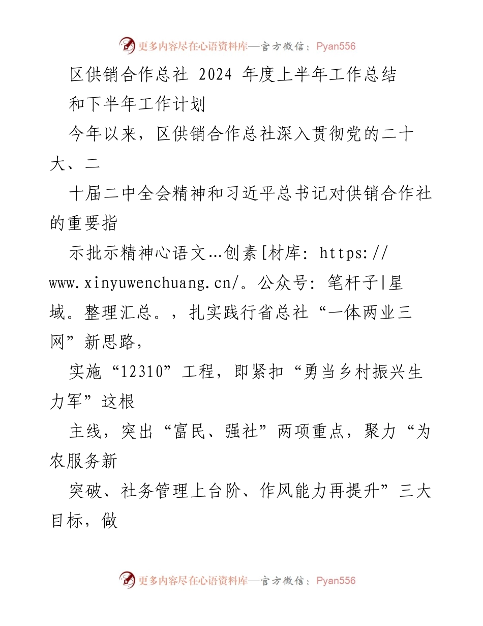 [工作总结] 区供销合作总社 - 2024年度上半年工作总结与下半年计划_1.docx_第1页