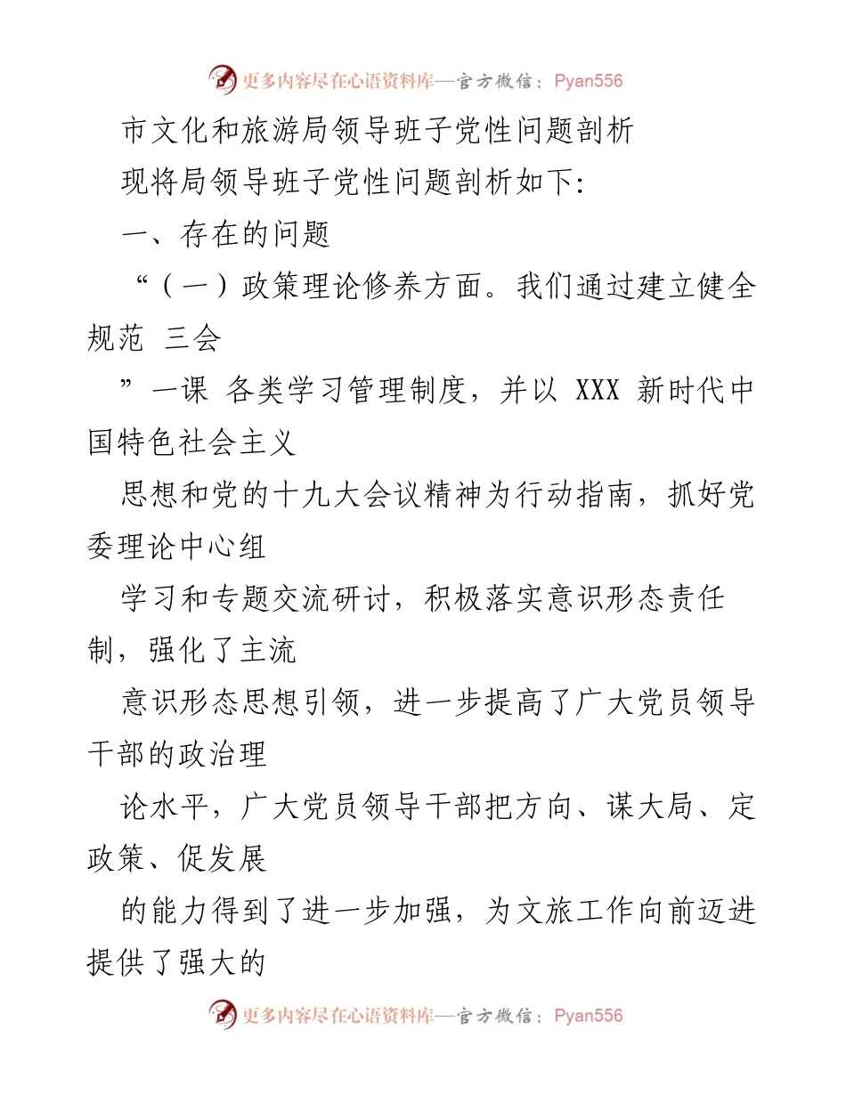 [工作总结] 党性问题剖析 - 市文化和旅游局领导班子党性问题分析与反思.docx_第1页
