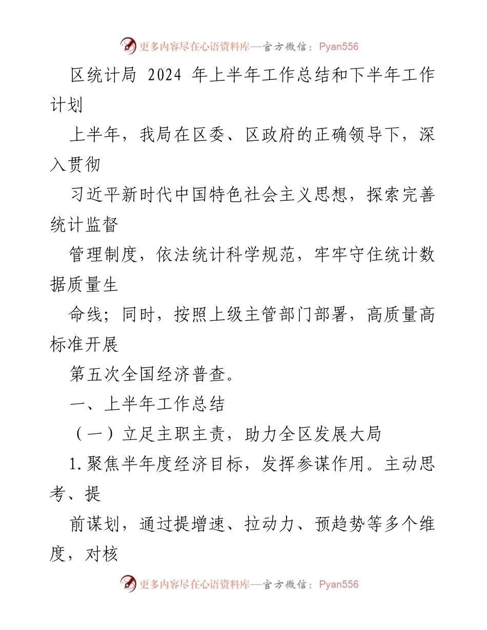 [工作总结] 区统计局 - 2024年上半年工作总结与下半年工作计划_1.docx_第1页