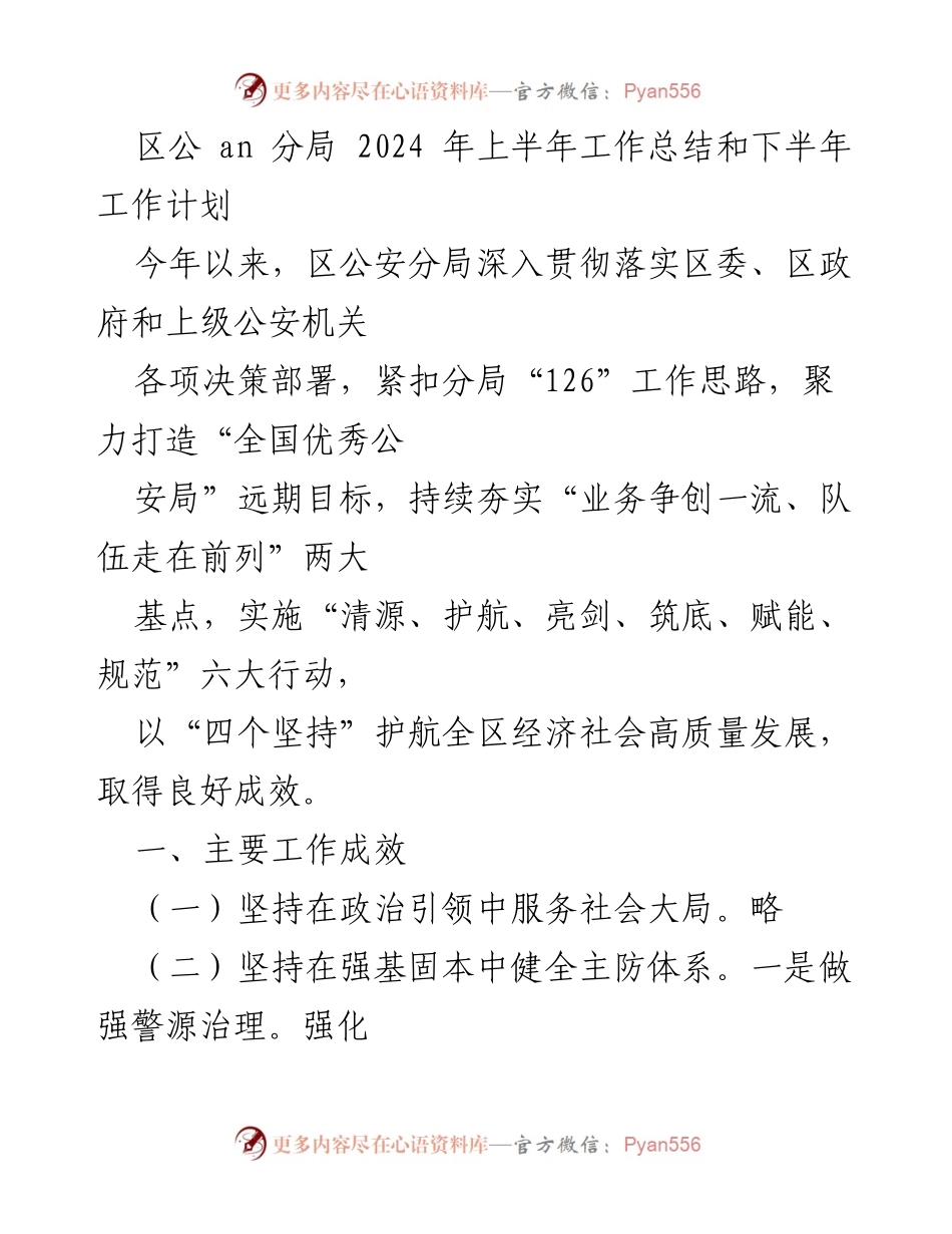 [工作总结] 区公安分局 - 2024年上半年工作总结与下半年工作计划.docx_第1页