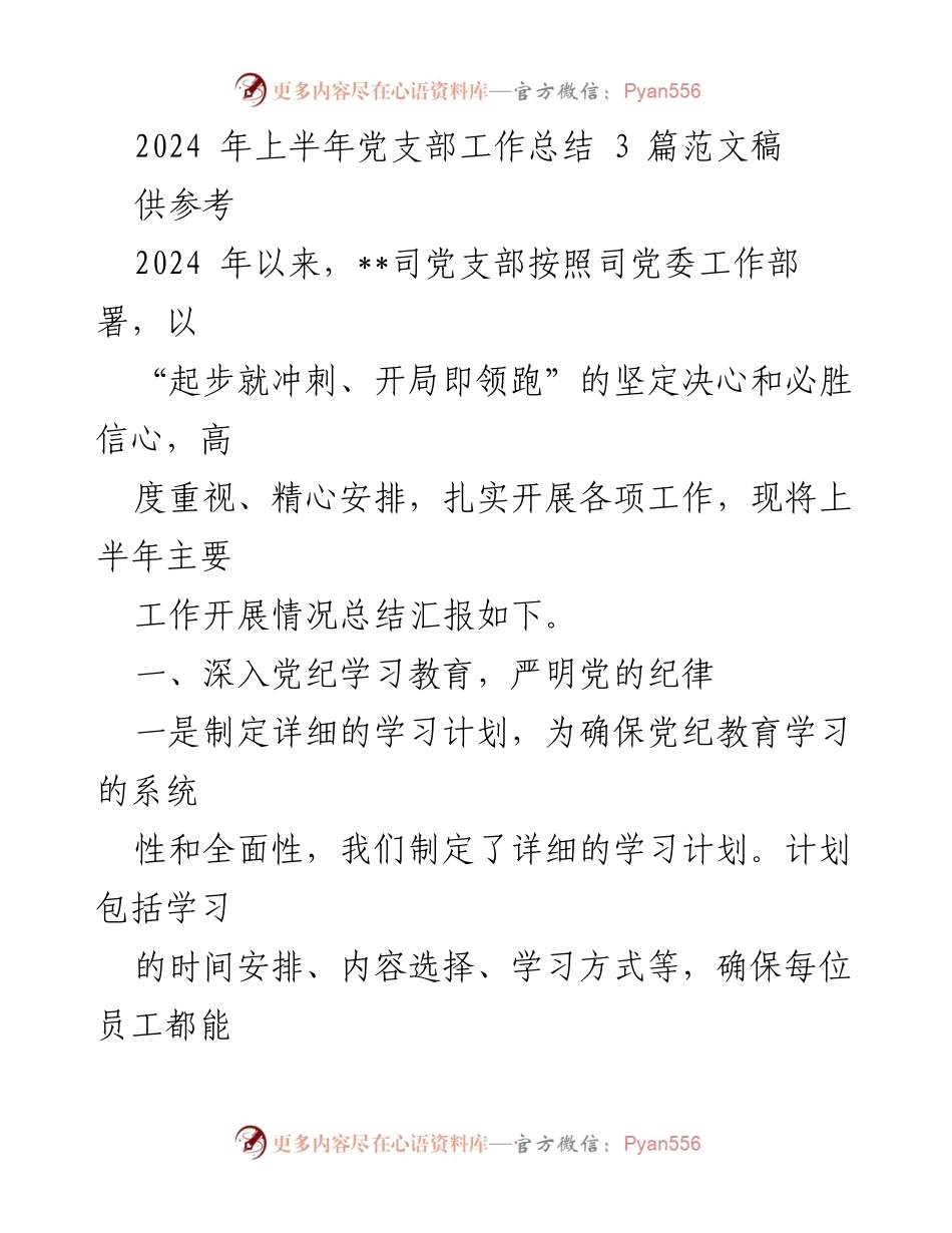 [工作总结] 党支部 - 2024年上半年党支部工作总结与实施情况报告.docx_第1页