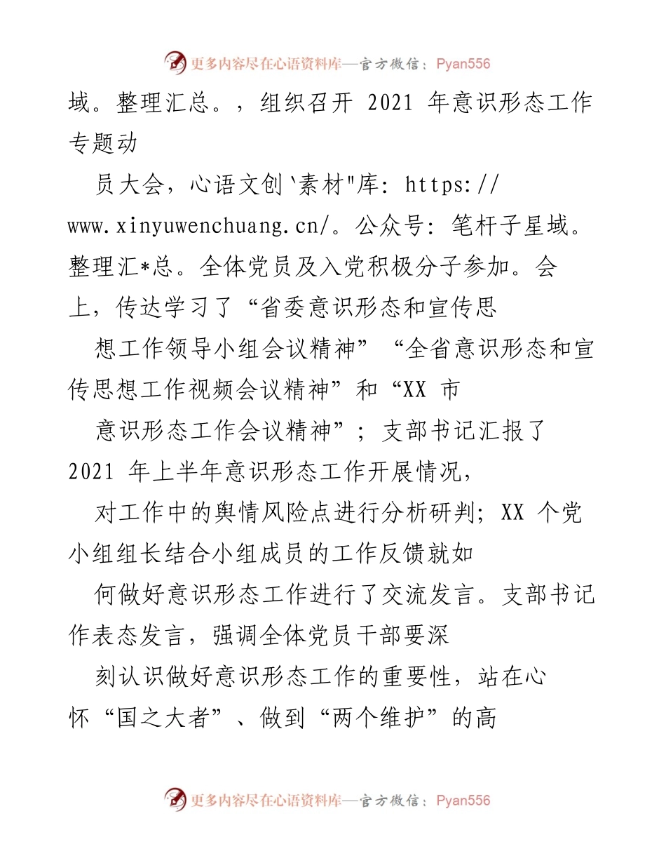 [工作总结] 党支部会议 - 2021年XX党支部意识形态工作总结与展望.docx_第2页