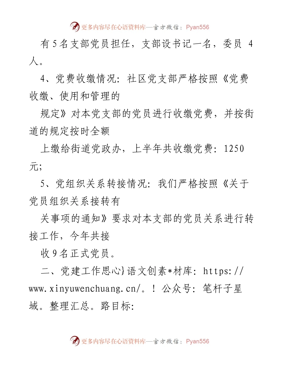 [工作总结] 党支部汇报 - 宝塔山社区党支部基本情况与党建工作思路总结.docx_第2页