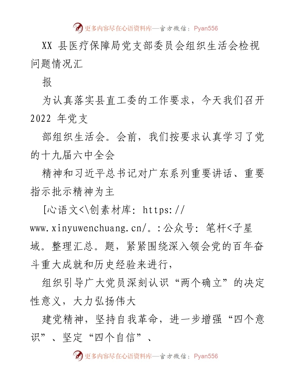 [工作总结] 党支部组织生活会 - XX县医疗保障局党支部组织生活会问题检视与整改报告.docx_第1页