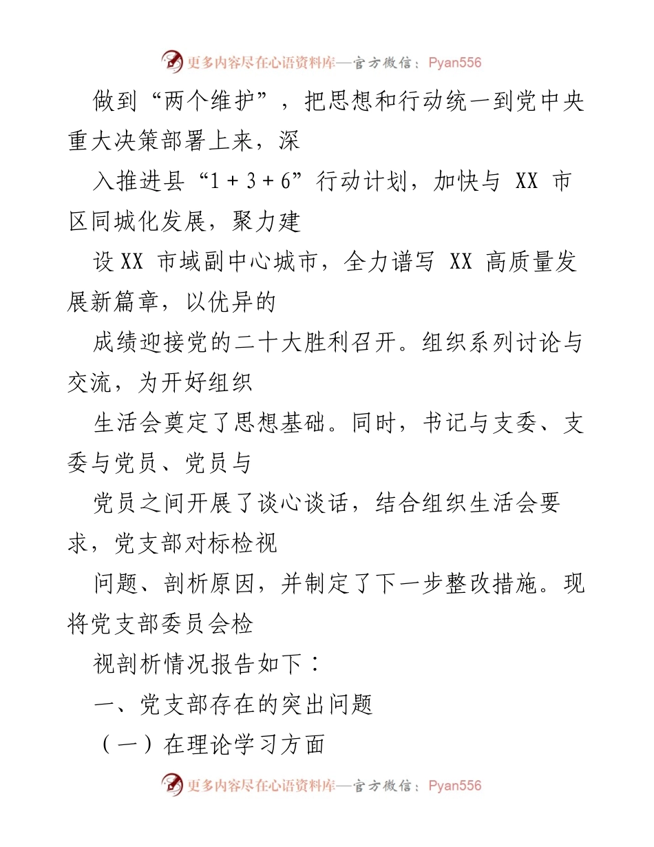 [工作总结] 党支部组织生活会 - XX县医疗保障局党支部组织生活会问题检视与整改报告.docx_第2页