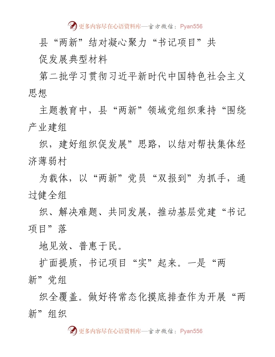 [工作总结] 党建活动 - 县“两新”领域党建“书记项目”推动基层发展总结.docx_第1页
