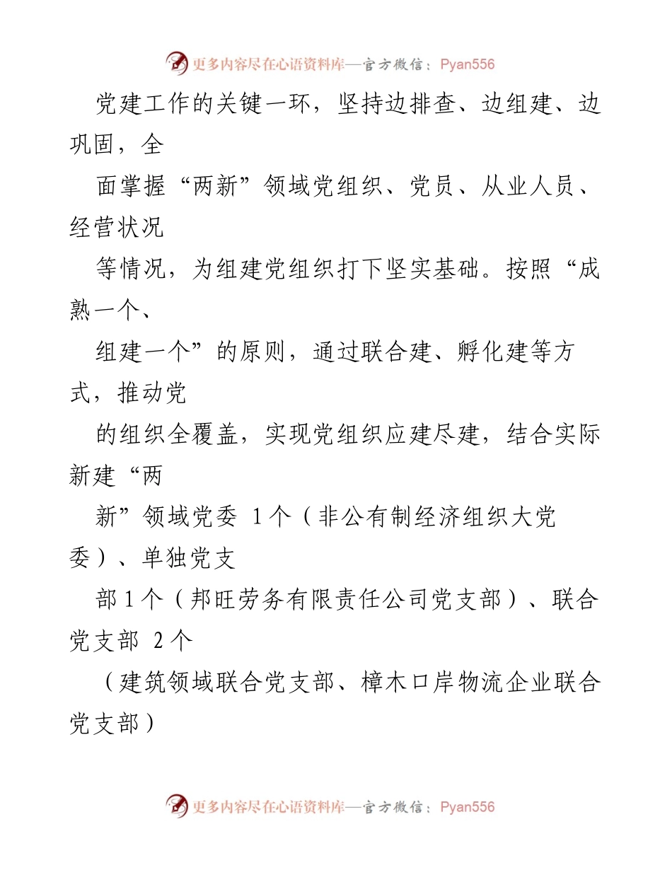 [工作总结] 党建活动 - 县“两新”领域党建“书记项目”推动基层发展总结.docx_第2页