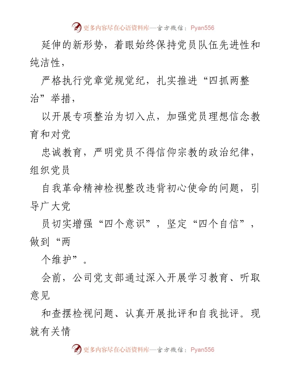 [工作总结] 党支部会议 - 公司党支部专题组织生活会情况报告.docx_第2页