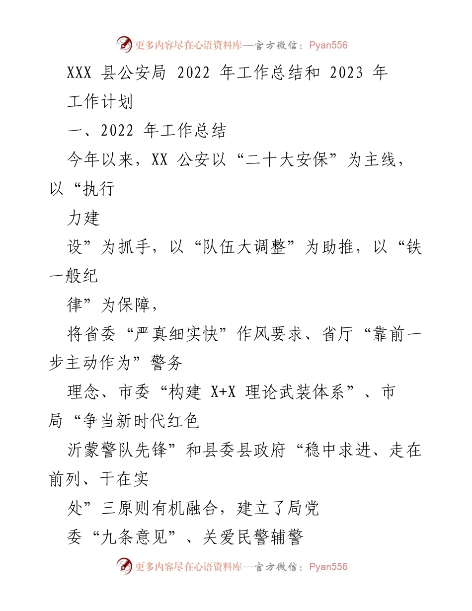 [工作总结] 公安局 - 2022年工作总结与2023年工作计划.docx_第1页
