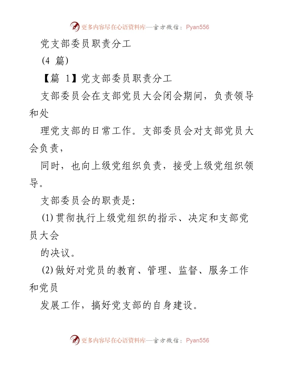 [工作总结] 党支部会议 - 党支部委员职责分工概述.docx_第1页