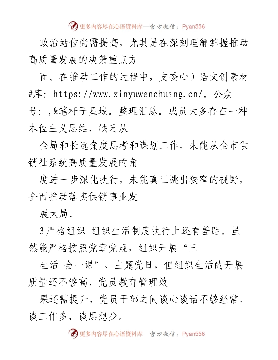 [工作总结] 党支部主题教育 - 党支部问题清单与改进建议.docx_第2页
