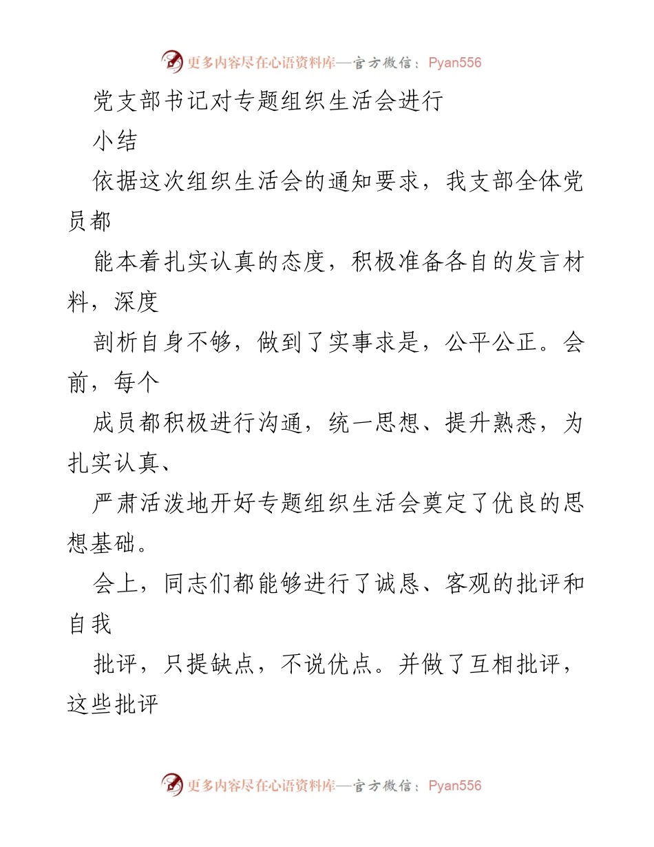 [工作总结] 党支部专题组织生活会 - 党支部书记专题组织生活会小结与整改措施建议.docx_第1页