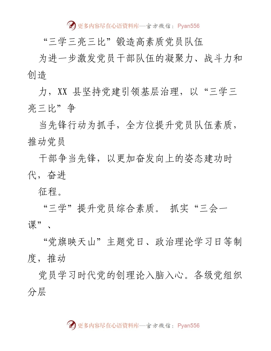 [工作总结] 党建活动 - “三学三亮三比”提升党员素质与先锋意识.docx_第1页