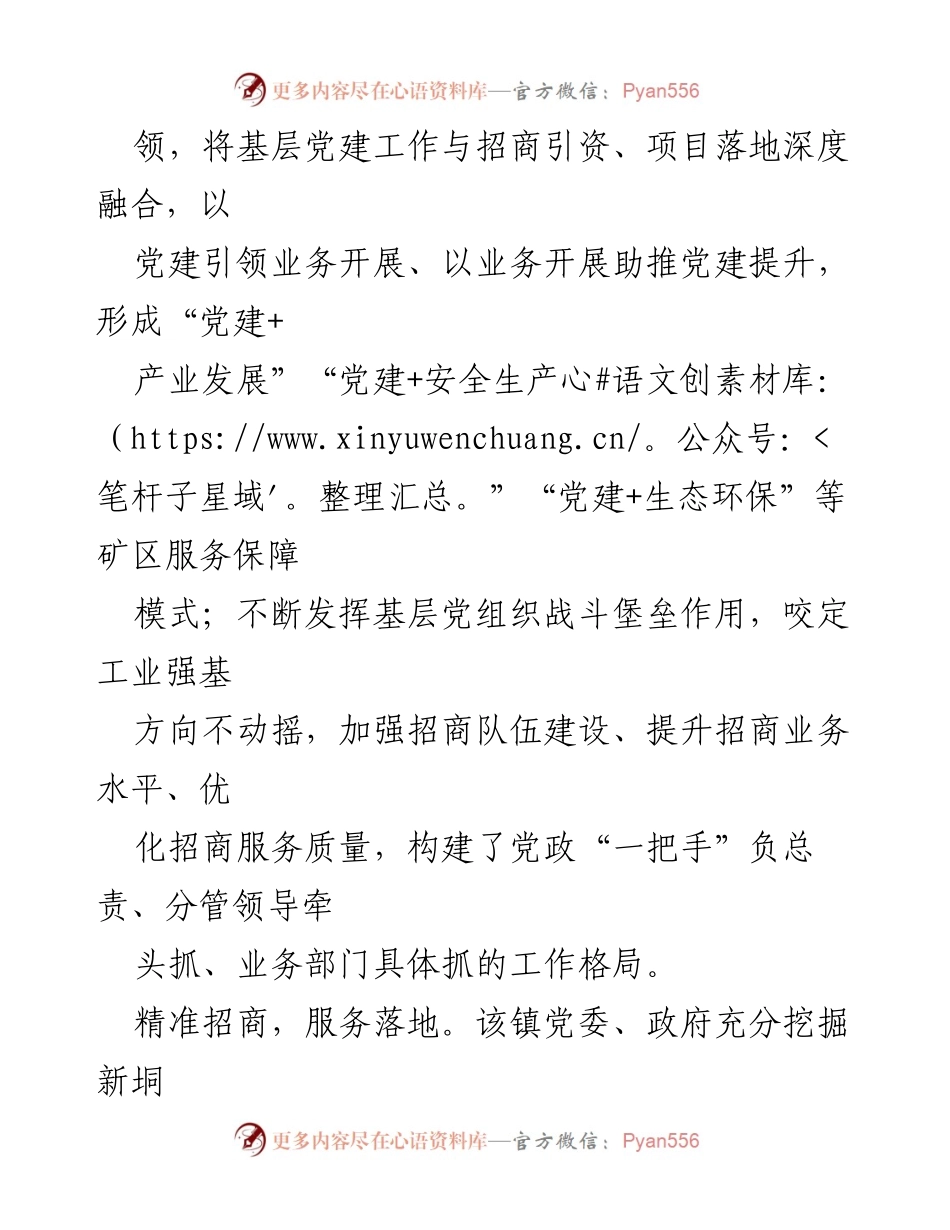 [工作总结] 党建引领经济发展 - 新垌镇党建引领与招商引资相结合推动经济高质量发展.docx_第2页