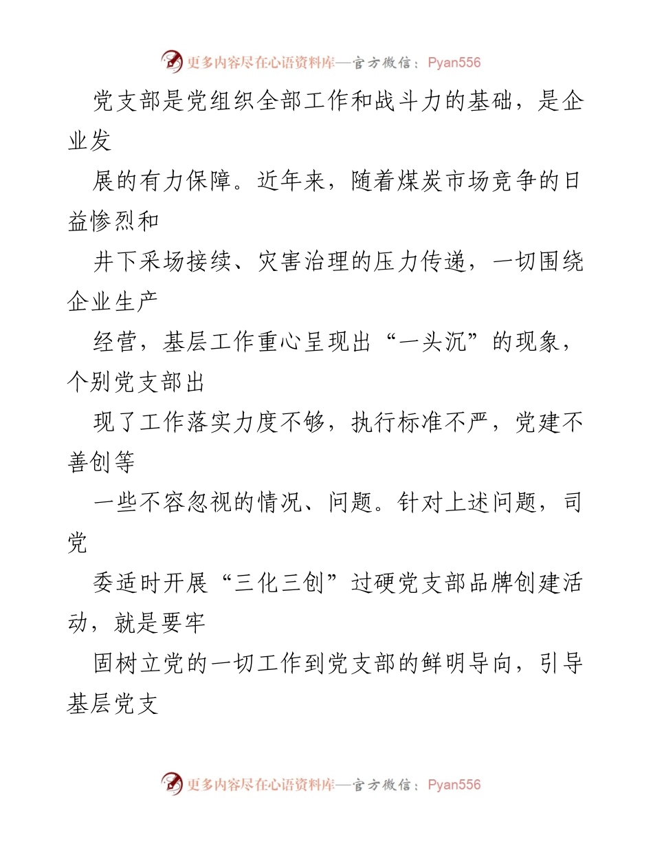 [工作总结] 党建活动 - “三化三创”过硬党支部品牌创建实施意见.docx_第2页