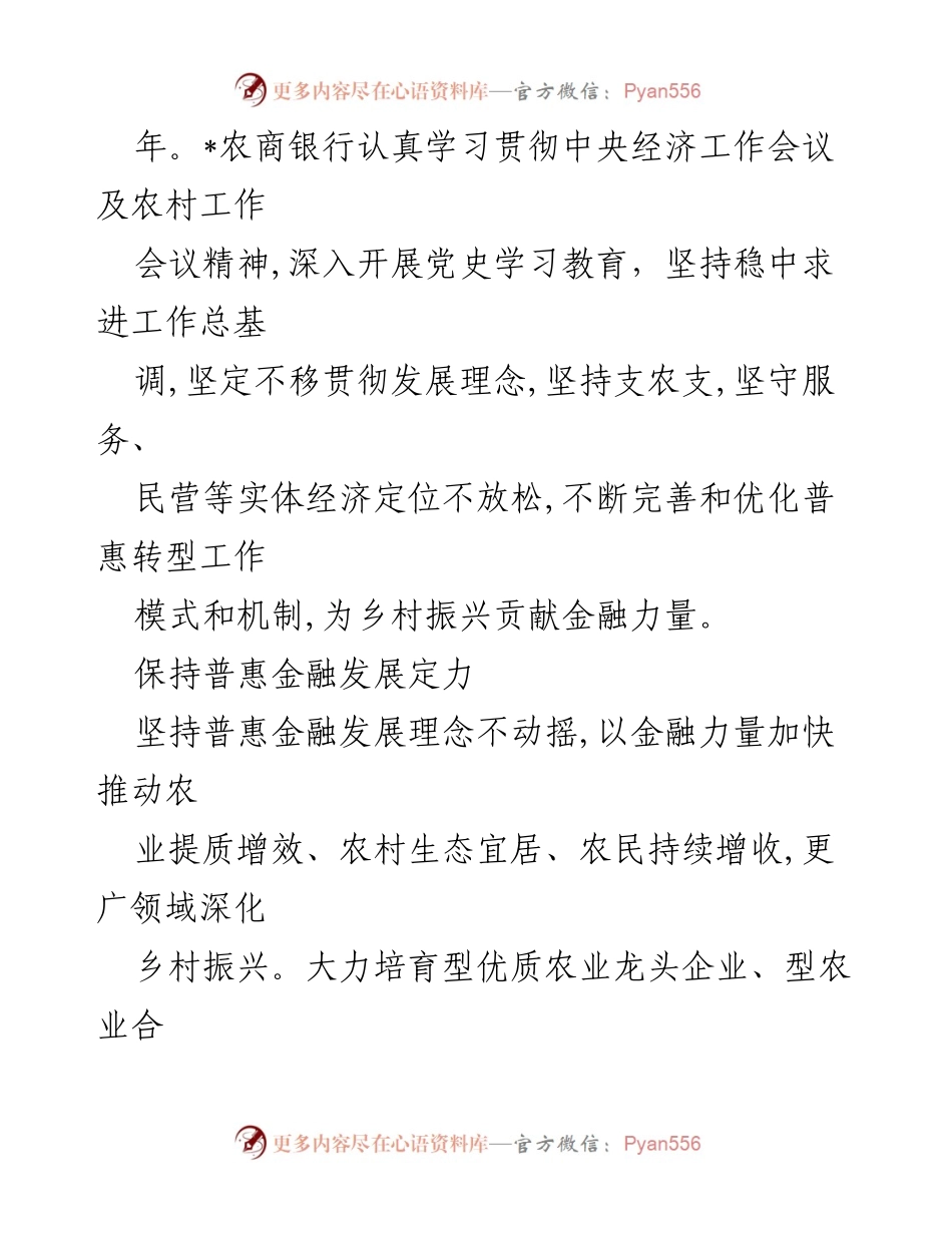 [工作总结] 党建引领下的普惠金融助力乡村振兴与发展.docx_第2页