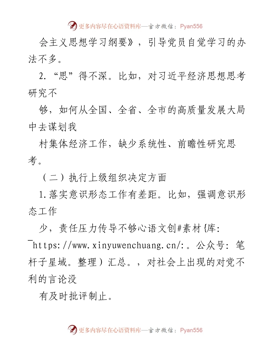 [工作总结] 党支部会议 - xx村党支部问题清单及整改措施分析.docx_第2页