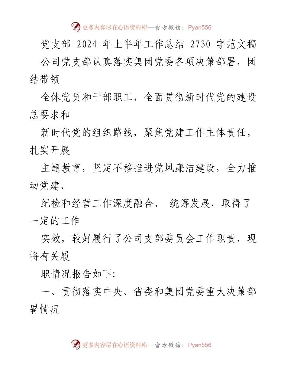 [工作总结] 党支部工作 - 2024年上半年公司党支部工作总结报告.docx_第1页