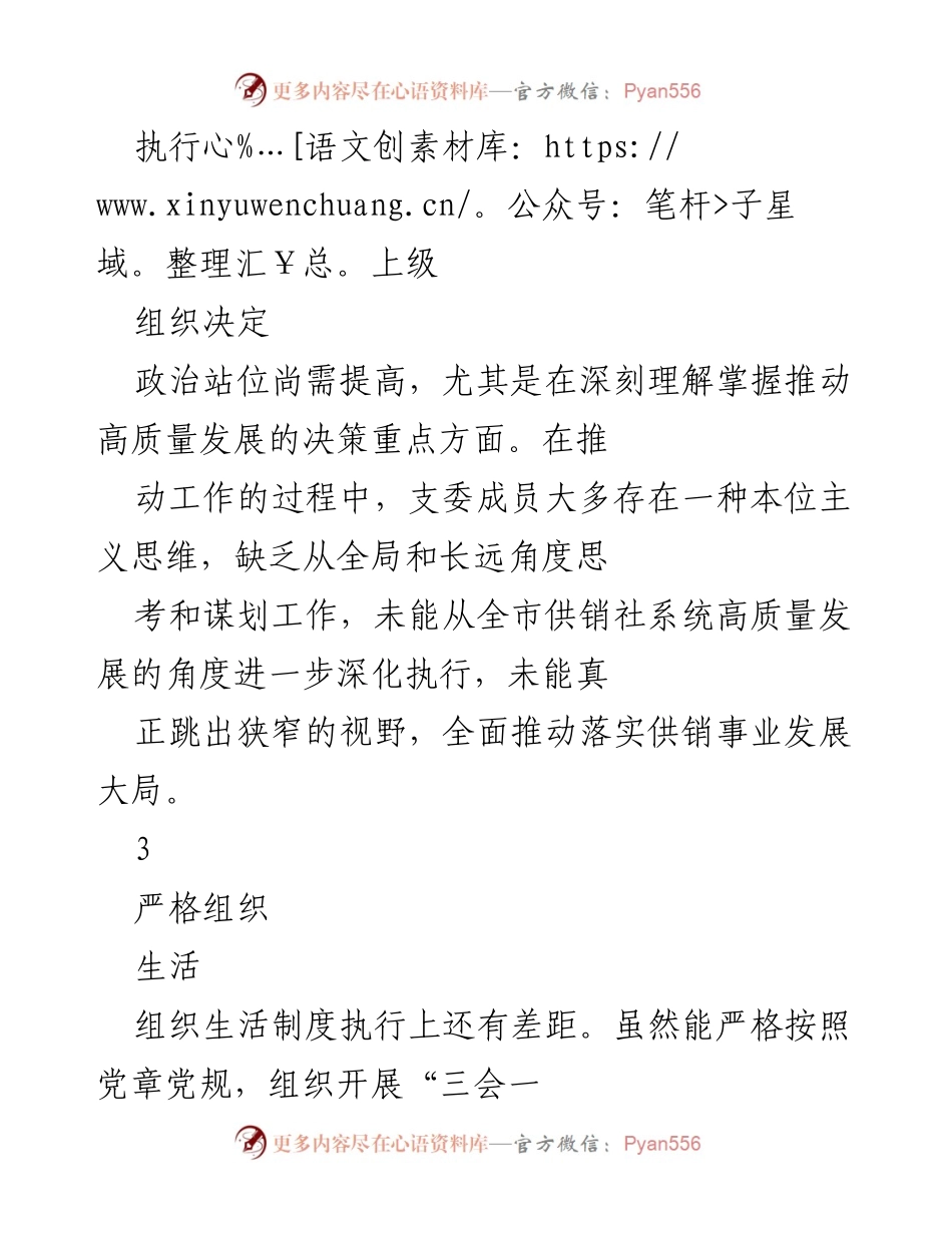[工作总结] 党支部主题教育 - 党支部问题清单及改进建议.docx_第2页