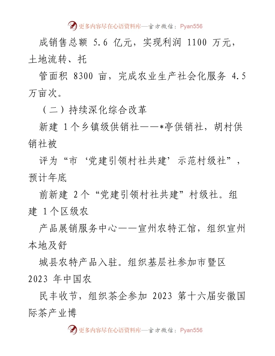 [工作总结] 区供销社 - 2023年工作总结与2024年工作安排.docx_第2页