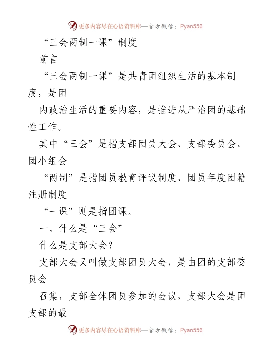 [工作总结] 共青团组织生活 - “三会两制一课”制度解析与实施要点.docx_第1页