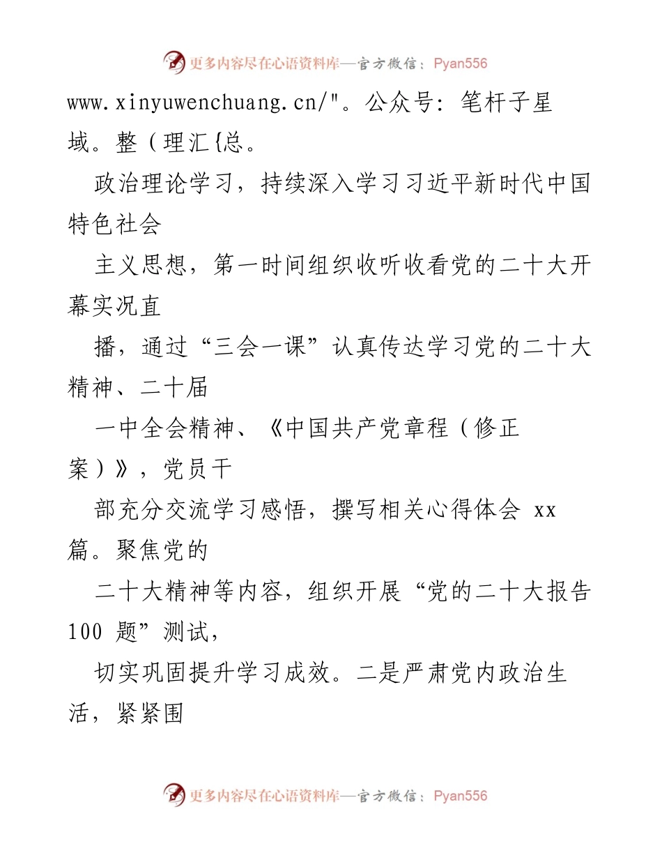 [工作总结] 党支部年度工作 - 2022年度党建工作总结与2023年工作计划.docx_第2页