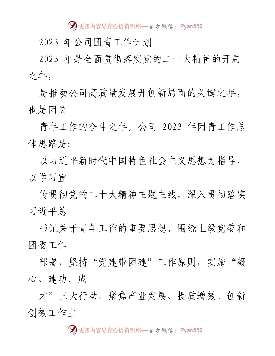 [工作总结] 公司团青工作会议 - 2023年公司团青工作计划与行动方案.docx_第1页