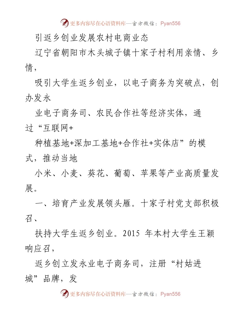 [工作总结] 农村电商发展 - 十家子村大学生返乡创业助力农村电商业态发展.docx_第1页
