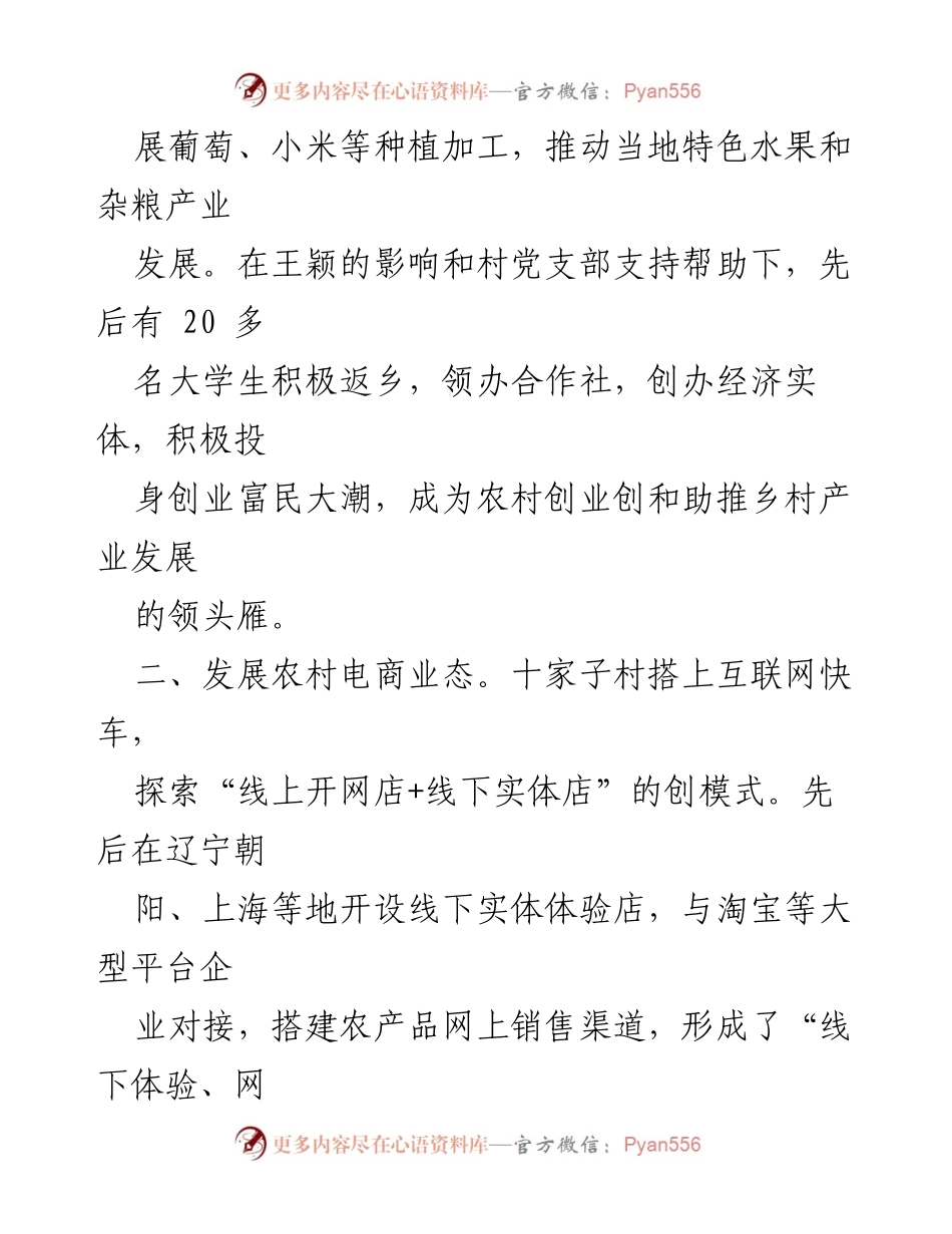 [工作总结] 农村电商发展 - 十家子村大学生返乡创业助力农村电商业态发展.docx_第2页