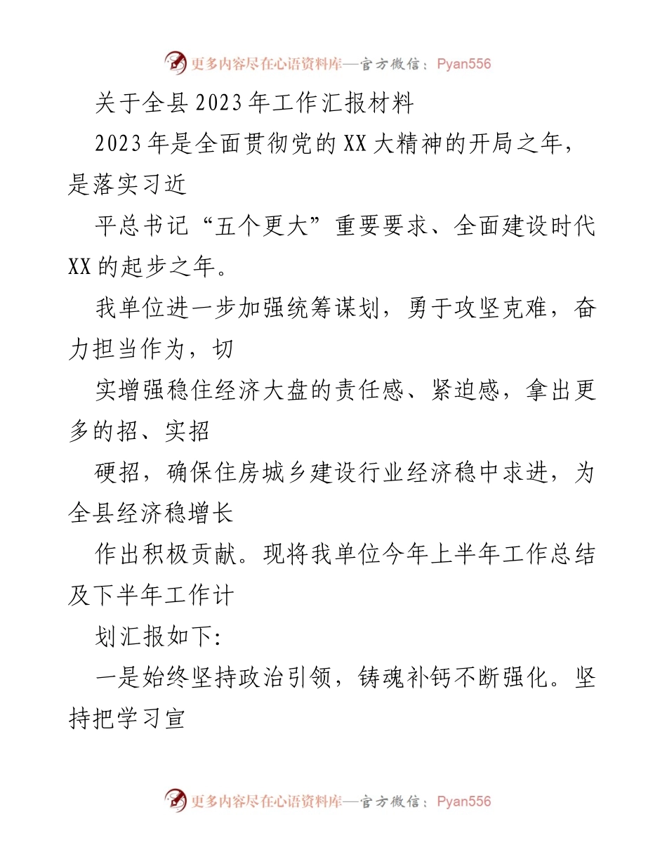 [工作总结] 全县工作汇报 - 2023年上半年工作总结及下半年计划报告.docx_第1页