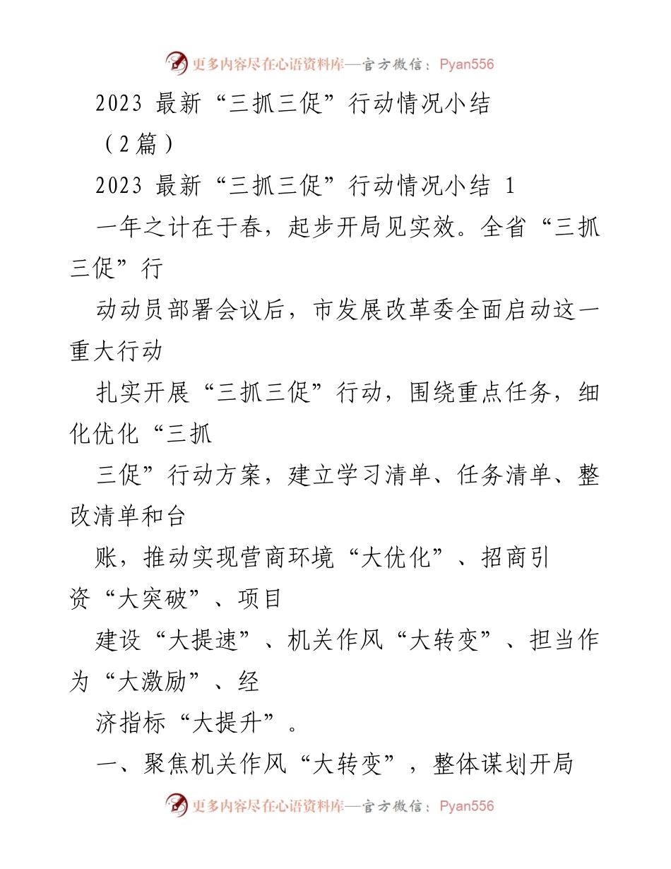 [工作总结] 动员部署会议 - 2023年“三抓三促”行动情况总结.docx_第1页