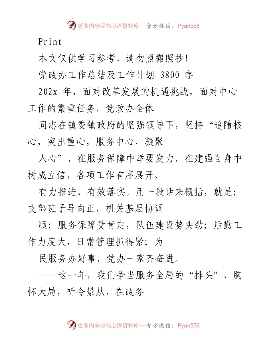 [工作总结] 党政办 - 202x年党政办工作总结与计划.docx_第1页