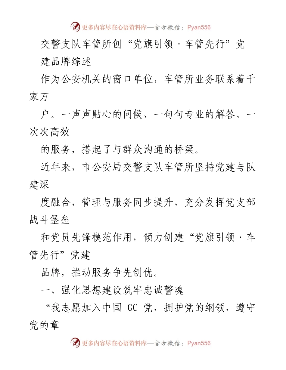 [工作总结] 党建活动 - 车管所“党旗引领·车管先行”党建品牌建设综述.docx_第1页